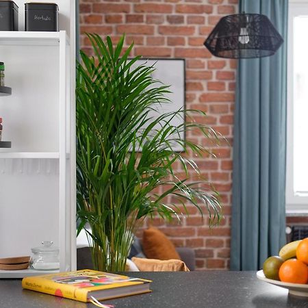 Mikroklimatyczny Apartament Dla 4 Osob - Blisko Szlakow, W Centrum 斯克拉斯卡波伦巴 外观 照片